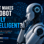 What Makes a Robot Truly Intelligent?