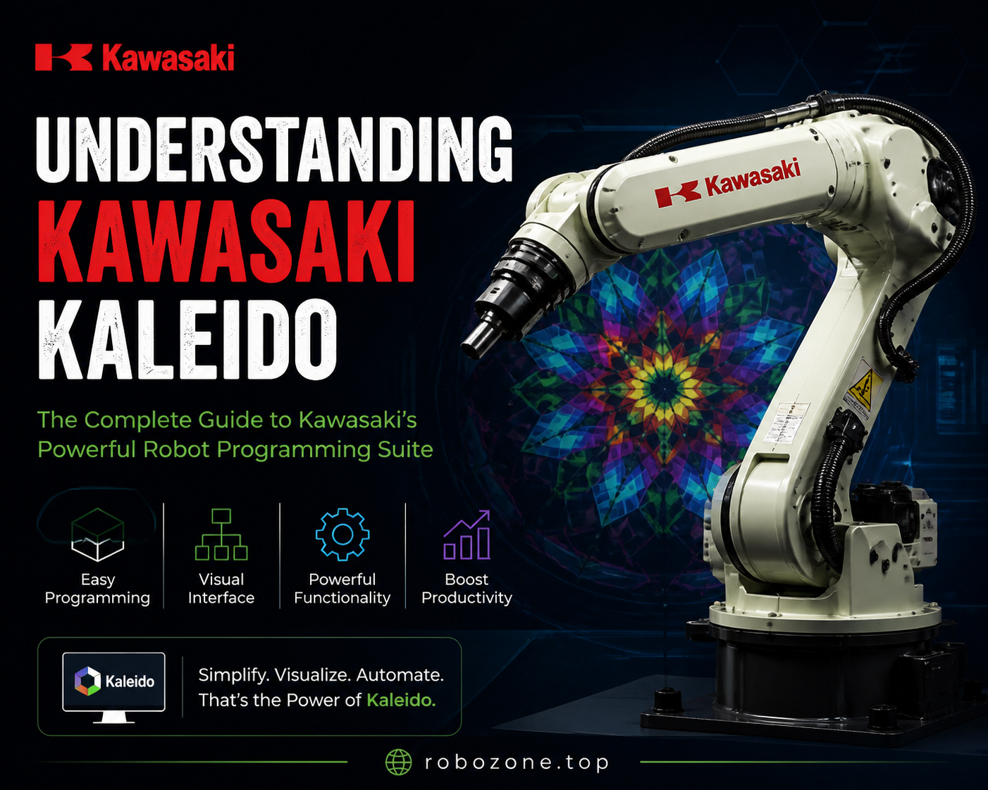 Understanding Kawasaki Kaleido