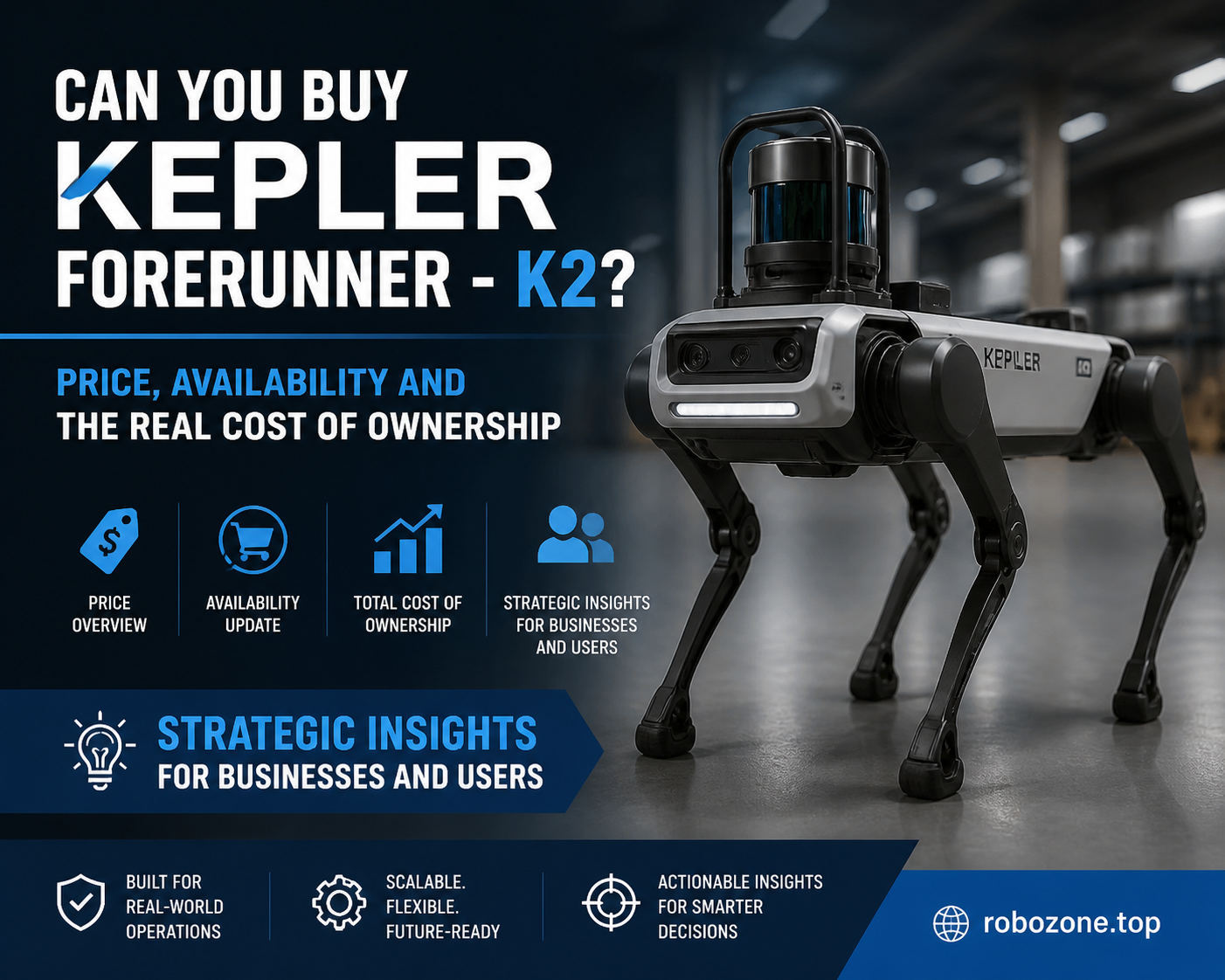 Strategic Insights for Businesses and Users