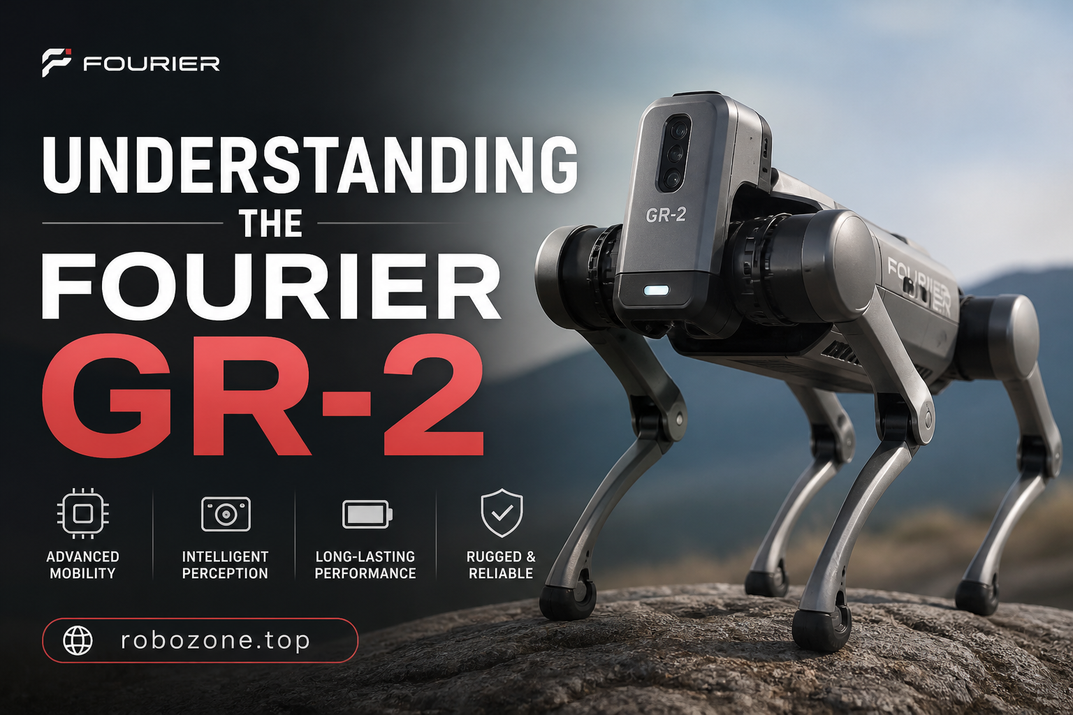 Understanding the Fourier GR-2 Understanding the Fourier GR-2